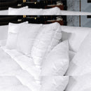 โซฟา คาร์ล