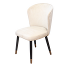 เก้าอี้ทานอาหาร | Dining Chair HS Furniture Mall