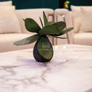 โต๊ะกลาง ฟิโอน่า / Fiona Coffee Table HS Furniture Mall