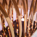 คอนโซล เอเวลิน