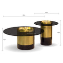 โต๊ะกลาง นาคิน / Nakin Coffee Table HS Furniture Mall